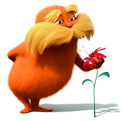 il-piccolo-cinelibro-lorax